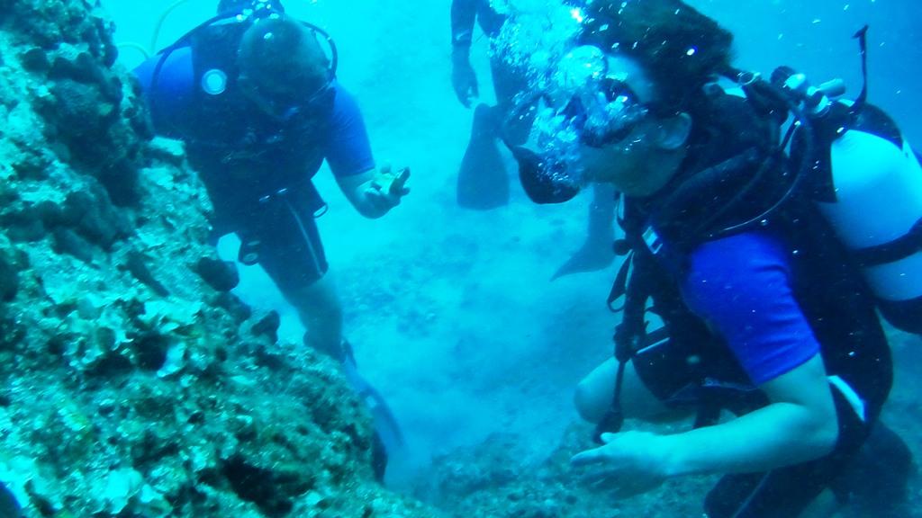 Excursions et explorations sous-marines